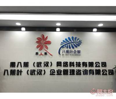 八蕉葉 武漢稅務(wù)代理的專業(yè)伙伴，助力企業(yè)穩(wěn)健成長